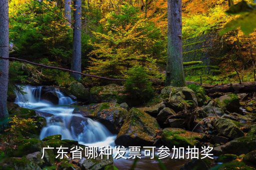 什么發(fā)票可以抽獎(jiǎng)，廣東省哪種發(fā)票可參加抽獎(jiǎng)