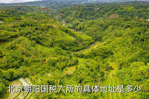 國(guó)稅六辦指什么，北京朝陽國(guó)稅六所的具體地址是多少
