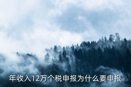 為什么12萬要申報(bào)表，每個(gè)月都已繳納為什么年收入超過12萬還需要再申報(bào)