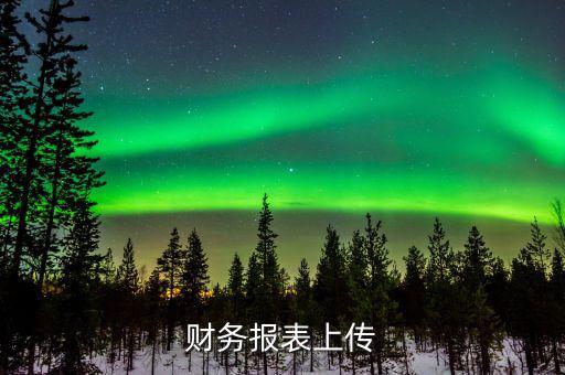 每年上傳什么財務報表，報哪些稅時需要上傳財務報表麻煩詳細一點報增值稅時怎樣上傳財