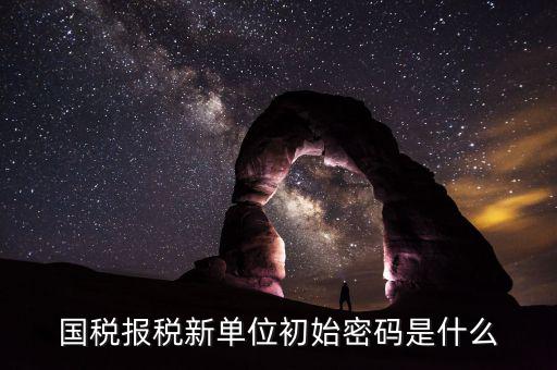 國稅申報(bào)登錄密碼是什么，抄報(bào)稅密碼應(yīng)該是什么啊