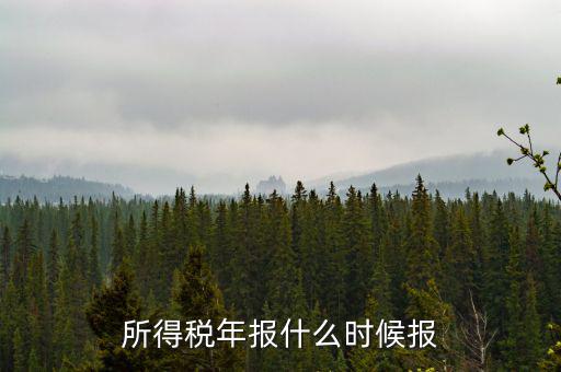國稅企業(yè)所得稅年報什么時候開始報，什么時間報企業(yè)所得稅年度納稅