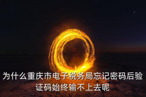 重慶電子稅務(wù)局什么時(shí)間開始，重慶渝北區(qū)地稅局就是一支路那個(gè)的作息時(shí)間是幾點(diǎn)到幾點(diǎn)啊
