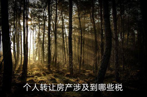 個人出售住房交什么稅，賣房子要交20的稅