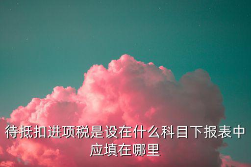 待抵扣進項稅入的是什么，待抵扣進項稅是設在什么科目下報表中應填在哪里