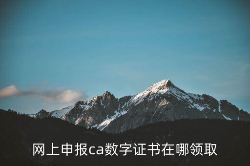 申報(bào)領(lǐng)取什么CA，財(cái)務(wù)報(bào)稅的ca通道是什么
