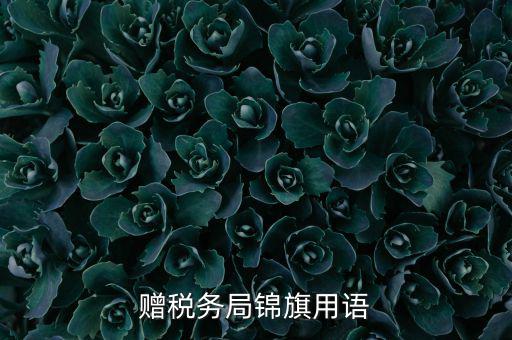 贈(zèng)送稅務(wù)所錦旗寫(xiě)什么，贈(zèng)稅務(wù)局錦旗用語(yǔ)