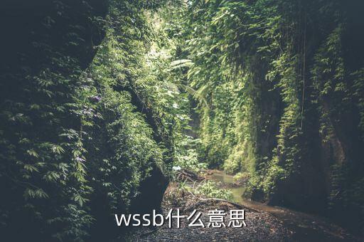 wssb是什么地方，開普敦是什么地方