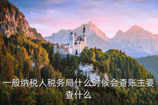 稅局什么時間搖號稽查，一般納稅人稅務(wù)局什么時候會查賬主要查什么