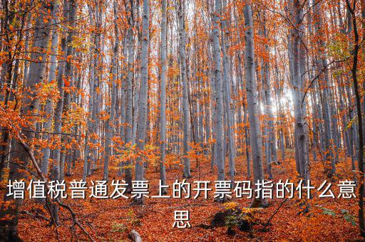 稅控盤開票碼是什么意思，增值稅普通發(fā)票上的開票碼指的什么意思