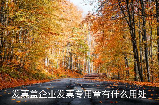 發(fā)票專用章有什么用，公司的發(fā)票專用章是干嘛用的
