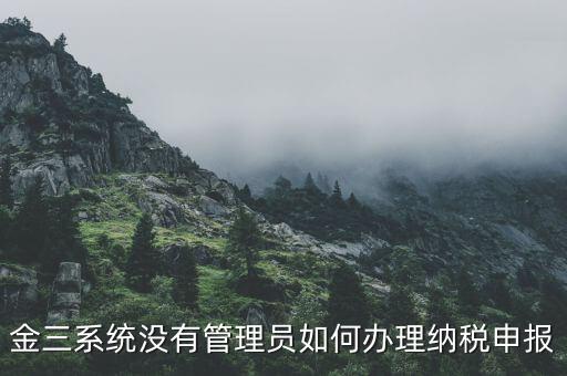 金三申報申報什么意思，申報是什么意思