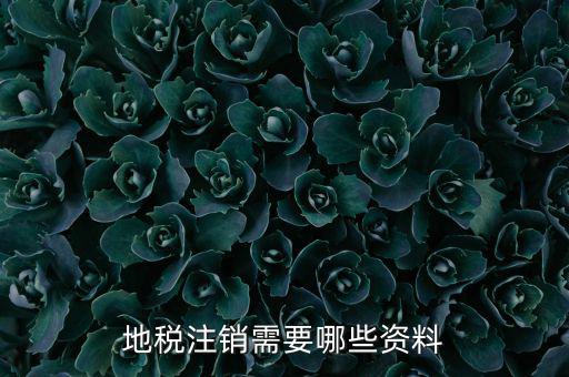 地稅注銷(xiāo)需要哪些資料