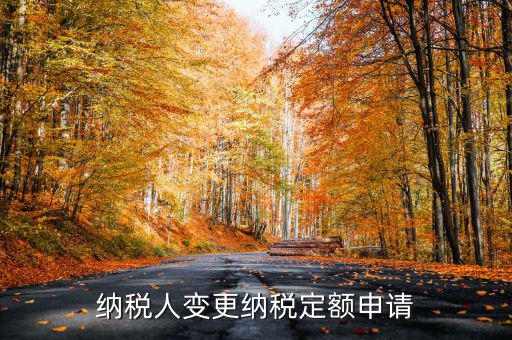 變更納稅定額什么意思，調(diào)整應(yīng)納稅所得額什么意思