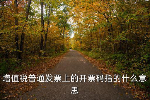 什么是發(fā)票信息碼，增值稅普通發(fā)票上的開票碼指的什么意思