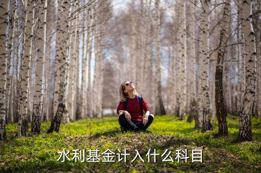 水利基金指什么，水利基金計(jì)入什么科目