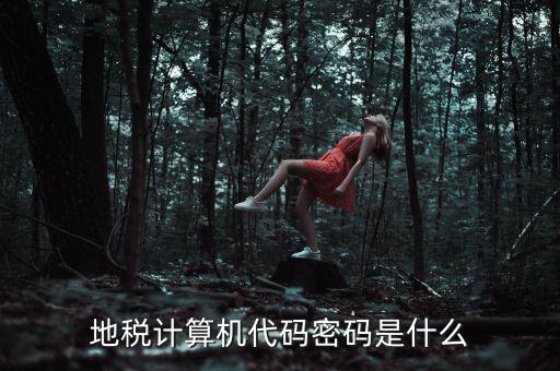 地稅稅務(wù)登陸密碼是什么意思，湖北地稅網(wǎng)絡(luò)發(fā)票登陸密碼是什么急急急