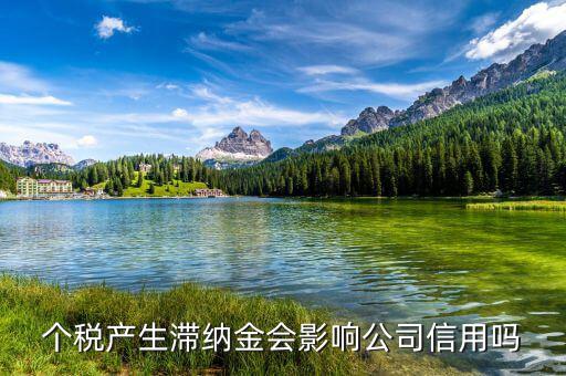 稅收滯納金有什么影響，地稅報稅逾期產(chǎn)生滯納金會對公司有甚么影響
