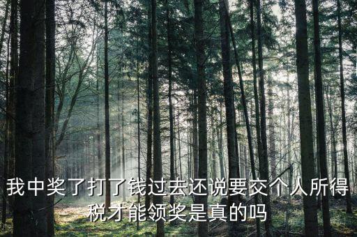 我中獎了打了錢過去還說要交個人所得稅才能領(lǐng)獎是真的嗎