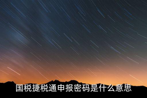 國稅申報(bào)登陸密碼是什么意思，國稅第一次網(wǎng)上申報(bào)的登陸密碼是什么