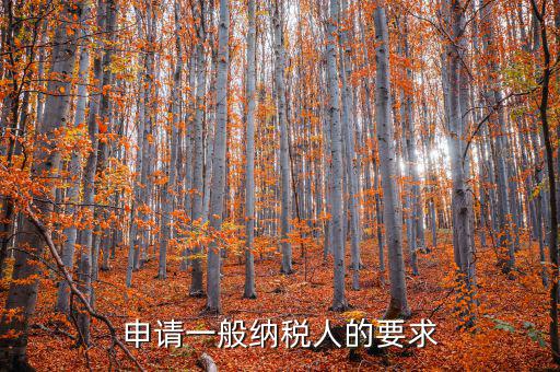 納稅人需求什么，申請一般納稅人的要求