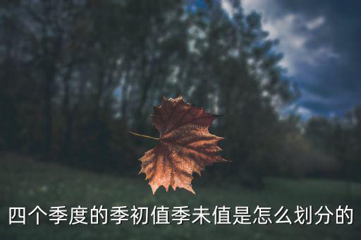 季初值和季末值是什么，四個季度的季初值季未值是怎么劃分的