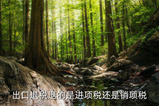 出口退稅退的是什么稅，出口退稅退的是進(jìn)項(xiàng)稅還是銷項(xiàng)稅