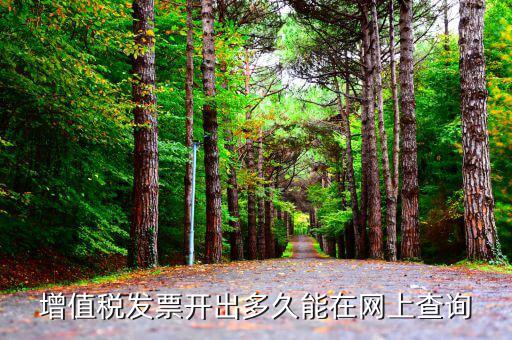 發(fā)票什么時(shí)候網(wǎng)上能查到，對(duì)方開(kāi)具的增值稅發(fā)票什么時(shí)候能上網(wǎng)查詢到