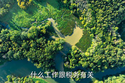 稅務(wù)代理工作是指什么，什么是稅務(wù)代收