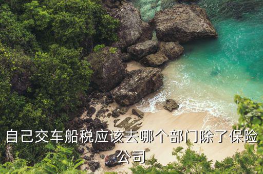 代開車船稅要用什么公司，哪些銀行代收車船使用稅