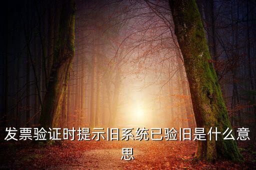 發(fā)票的驗(yàn)舊時(shí)間是什么意思，發(fā)票驗(yàn)證時(shí)提示舊系統(tǒng)已驗(yàn)舊是什么意思