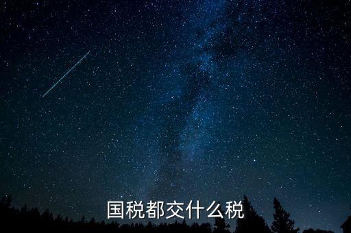 國(guó)稅五項(xiàng)稅種都是什么，國(guó)稅包括哪些稅種