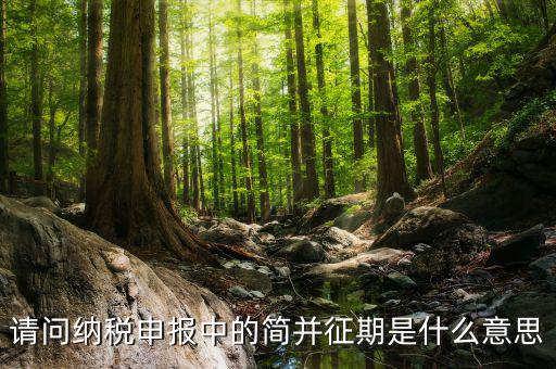 簡并征期是什么意思，期是什么意思