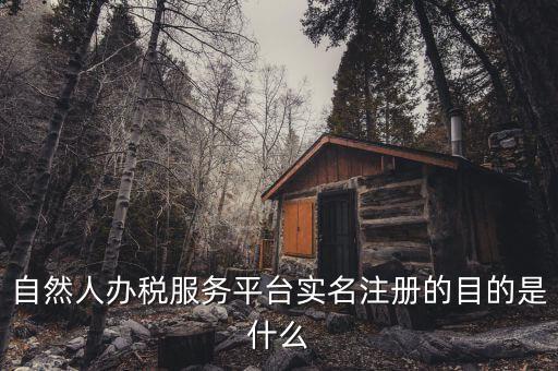 辦稅平臺是什么，山東省國家稅務局網(wǎng)上辦稅平臺 域名多少