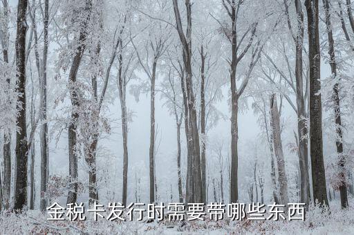 金稅盤發(fā)行帶什么，金稅卡發(fā)行時需要帶哪些東西