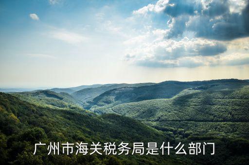 稅務(wù)總局國際司干什么，國家稅務(wù)總局是正部級