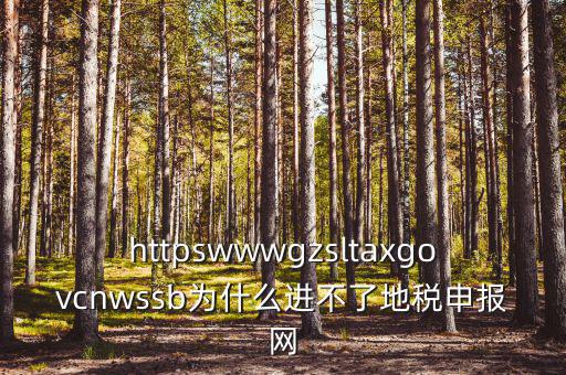 為什么上不去河北地稅網(wǎng)，地稅的網(wǎng)站現(xiàn)在進(jìn)不去不知是什么原因