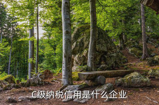 稅務(wù)等級c級是什么意思，申請一般納稅人abc類是什么意思