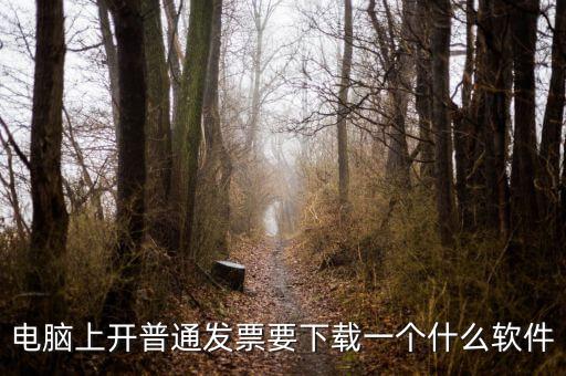 網(wǎng)絡(luò)開票需要下載什么軟件下載，電腦打發(fā)票是不是要下載一個什么軟件