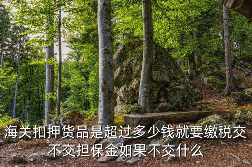 納稅擔(dān)保什么意思，海關(guān)扣押貨品是超過(guò)多少錢就要繳稅交不交擔(dān)保金如果不交什么