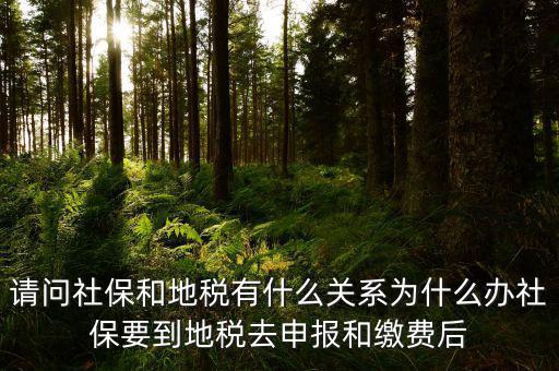 社保和地稅有什么關(guān)系，我現(xiàn)在不知道怎么辦理社保都辦理好了可跟地稅有什么關(guān)系呀