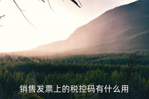 發(fā)票稅控碼是什么，國(guó)稅發(fā)票稅控碼