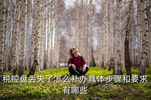 稅控盤丟失為什么要報案嗎，稅控盤丟失怎么處理