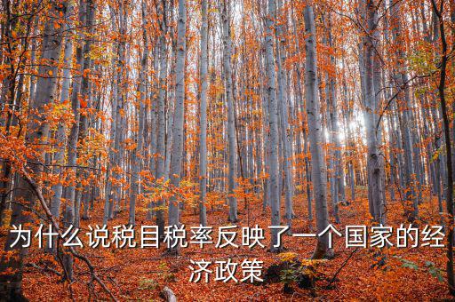 為什么要規(guī)定稅目，稅目是什么意思