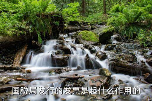 國(guó)家稅務(wù)局發(fā)票有什么用，發(fā)票有哪些作用呢