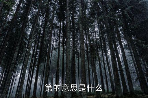 第稽什么意思，第是什么意思