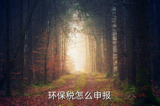 環(huán)境保護(hù)稅按什么申報(bào)，環(huán)保稅怎么申報(bào)