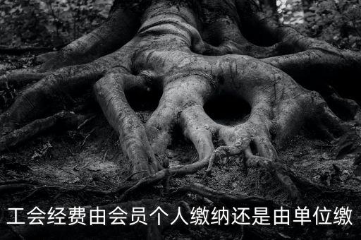 工會經費由會員個人繳納還是由單位繳