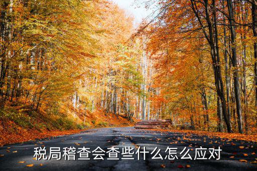 發(fā)票稽查查什么，稅局稽查會(huì)查些什么怎么應(yīng)對