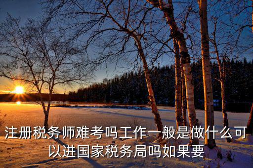 稅務(wù)師是什么，注冊(cè)稅務(wù)師能干什么待遇怎么樣